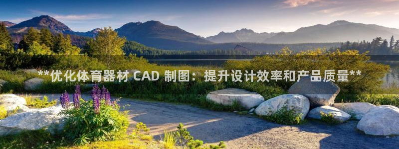 极悦牙膏怎么样知乎：**优化体育器材 CAD 制图：提升设计