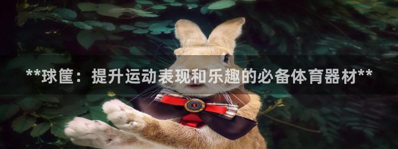 极悦娱乐公司最新招聘信息网：**球筐：提升运动表现和乐趣的必
