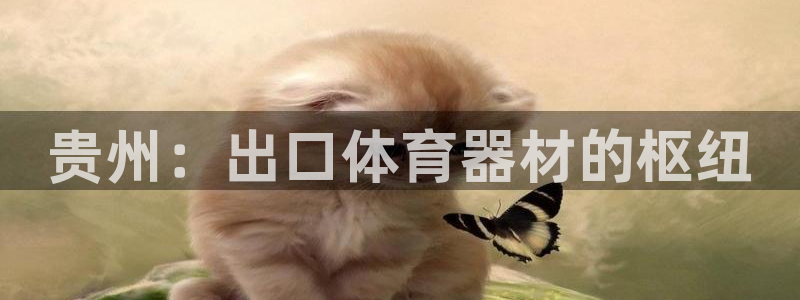 极悦平台使用教程图片：贵州：出口体育器材的枢纽