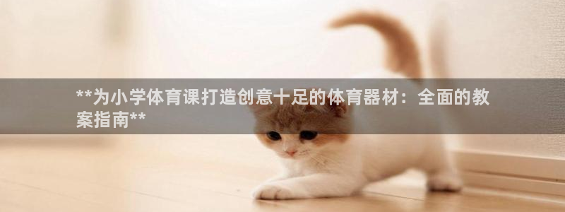 极悦娱乐代理多少钱一个：**为小学体育课打造创意十足