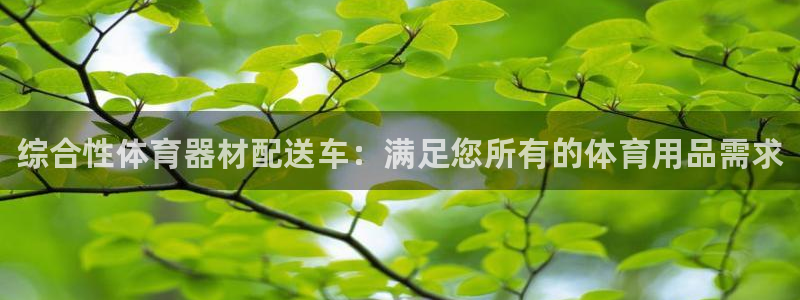 深圳极悦文化传媒有限公司：综合性体育器材配送车：满足您所有的