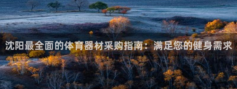 极悦平台客服团队名称：沈阳最全面的体育器材采购指南：
