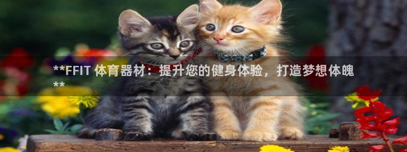 极悦娱乐官方网站下载：**FFIT 体育器材：提升您