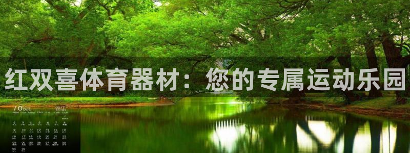 极悦娱乐官网app下载苹果版：红双喜体育器材：您的专属运动乐