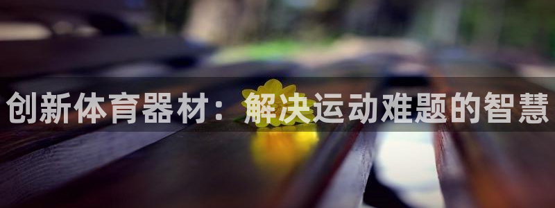 极悦娱乐的背景和历史背景分析：创新体育器材：解决运动