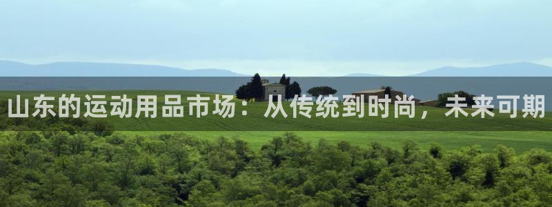 极悦平台客服投诉电话是多少：山东的运动用品市场：从传