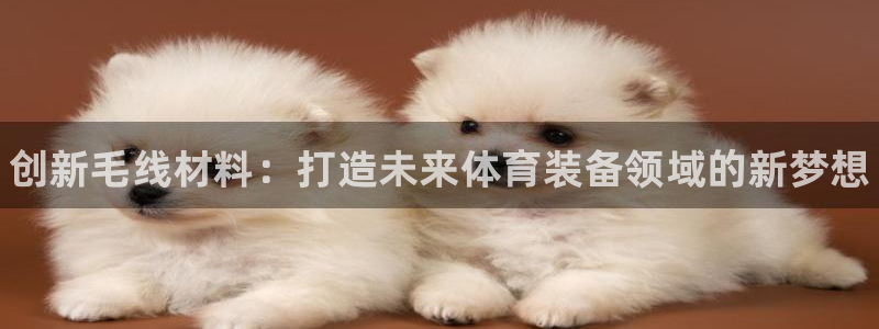 极悦平台官网入口下载：创新毛线材料：打造未来体育装备