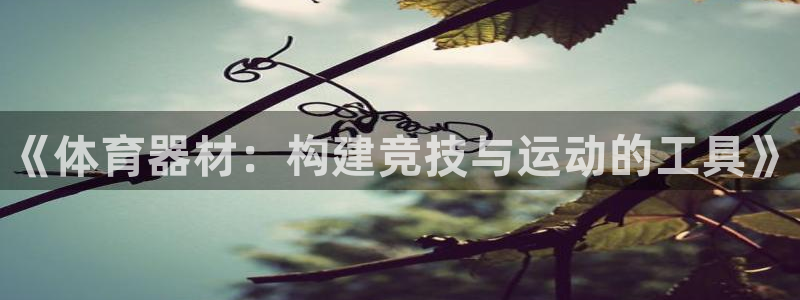 极悦平台注册官方网站下载安卓手机:《体育器材:构建竞技与运动