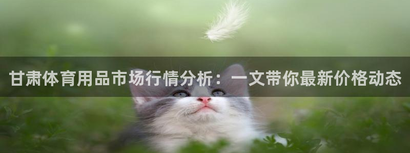 极悦平台app二维码怎么弄的：甘肃体育用品市场行情分