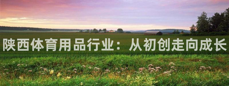 极悦平台注册资金多少亿：陕西体育用品行业：从初创走向