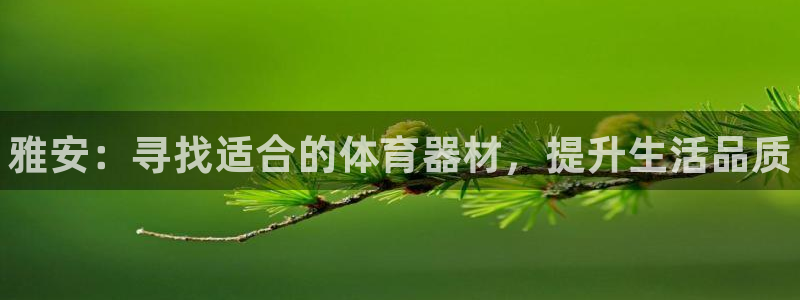 极悦官方网站app下载安卓：雅安：寻找适合的体育器材