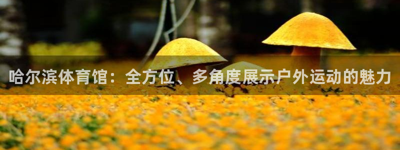 极悦娱乐挂机赚钱是真的吗吗：哈尔滨体育馆：全方位、多