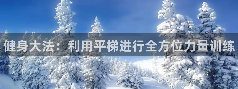 极悦平台代理怎么做的：健身大法：利用平梯进行全方位力