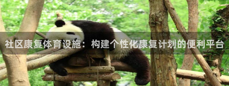 极悦平台注册登录入口官网：社区康复体育设施：构建个性化康复计